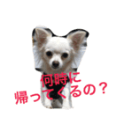 さくと慧の日常（個別スタンプ：6）