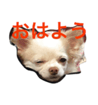 さくと慧の日常（個別スタンプ：7）