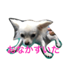 さくと慧の日常（個別スタンプ：8）