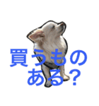 さくと慧の日常（個別スタンプ：9）