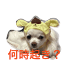 さくと慧の日常（個別スタンプ：11）