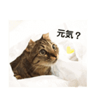 シンプルきい子（個別スタンプ：9）