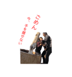 私達のいとこ（個別スタンプ：1）