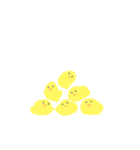 ひよこつみ（個別スタンプ：3）