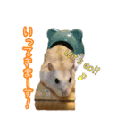 ぼくたちハムスター（個別スタンプ：10）