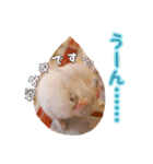 ぼくたちハムスター（個別スタンプ：18）