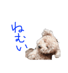 大好きなワンちゃんネコちゃん（個別スタンプ：2）