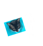 大好きなワンちゃんネコちゃん（個別スタンプ：6）