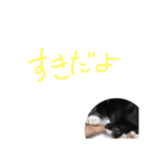 大好きなワンちゃんネコちゃん（個別スタンプ：7）
