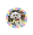 ココちゃんと野菜（個別スタンプ：1）