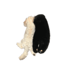 ココちゃんと野菜（個別スタンプ：8）