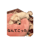 ココちゃんと野菜（個別スタンプ：10）