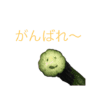ココちゃんと野菜（個別スタンプ：16）