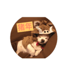 チロル君 お正月編（個別スタンプ：1）