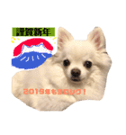チロル君 お正月編（個別スタンプ：2）