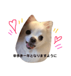 チロル君 お正月編（個別スタンプ：5）