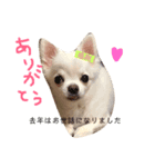 チロル君 お正月編（個別スタンプ：6）