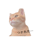 ウォルトの日常（個別スタンプ：10）