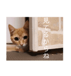ウォルトの日常（個別スタンプ：15）