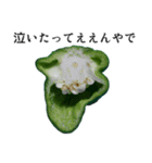 叫ぴー2 ～新たなる発見～（個別スタンプ：13）