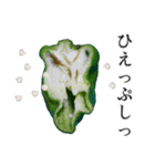 叫ぴー2 ～新たなる発見～（個別スタンプ：16）