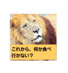 どうぶつえーん（個別スタンプ：1）