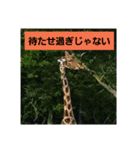 どうぶつえーん（個別スタンプ：3）