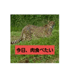 どうぶつえーん（個別スタンプ：7）