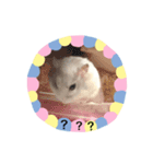 ハムスターと雪だるまとインコ（個別スタンプ：4）