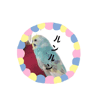 ハムスターと雪だるまとインコ（個別スタンプ：8）