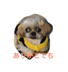 キャンビビちー2（個別スタンプ：12）