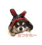 キャンビビちー2（個別スタンプ：15）