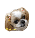 キャンビビちー2（個別スタンプ：17）