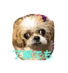 キャンビビちー2（個別スタンプ：19）