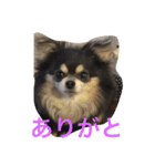 キャンビビちー2（個別スタンプ：23）