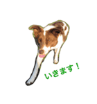 Hope Dogs2（個別スタンプ：6）
