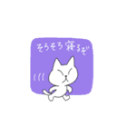 どこにでもいるようなネコ（個別スタンプ：13）