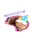 パンチのスタンプ（個別スタンプ：7）