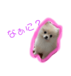 パンチのスタンプ（個別スタンプ：8）