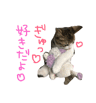 Rain③（個別スタンプ：1）