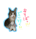 Rain③（個別スタンプ：2）