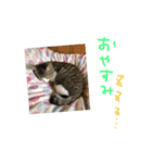Rain③（個別スタンプ：5）
