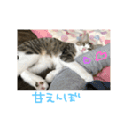 Rain③（個別スタンプ：12）