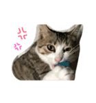 Rain③（個別スタンプ：15）