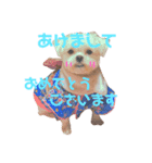 愛犬スタンプワールド（個別スタンプ：3）