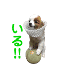 みしぇる1（個別スタンプ：5）