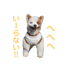 みしぇる1（個別スタンプ：7）