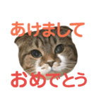 新春ひこ＆くにゃ（個別スタンプ：2）