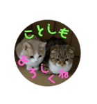 新春ひこ＆くにゃ（個別スタンプ：4）