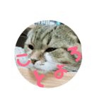 新春ひこ＆くにゃ（個別スタンプ：5）